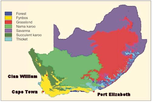 Map of the Fynbos biome