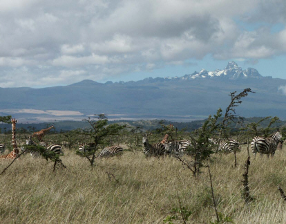 Mt. Kenya from Borana Lodge, Laikipia